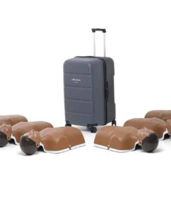 Little Anne Dark 6-pack