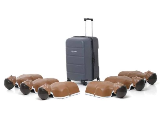 Little Anne Dark 6-pack