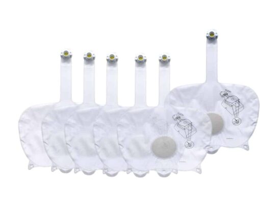 Little Anne Airway 6-pack