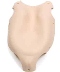 Resusci Baby Chest Skin