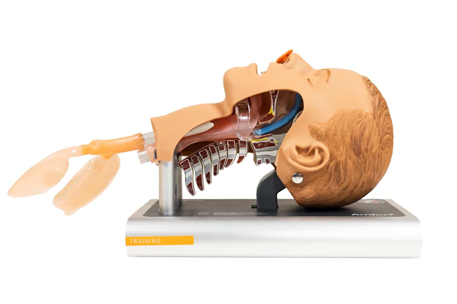 Ambu Airway Management Trainer